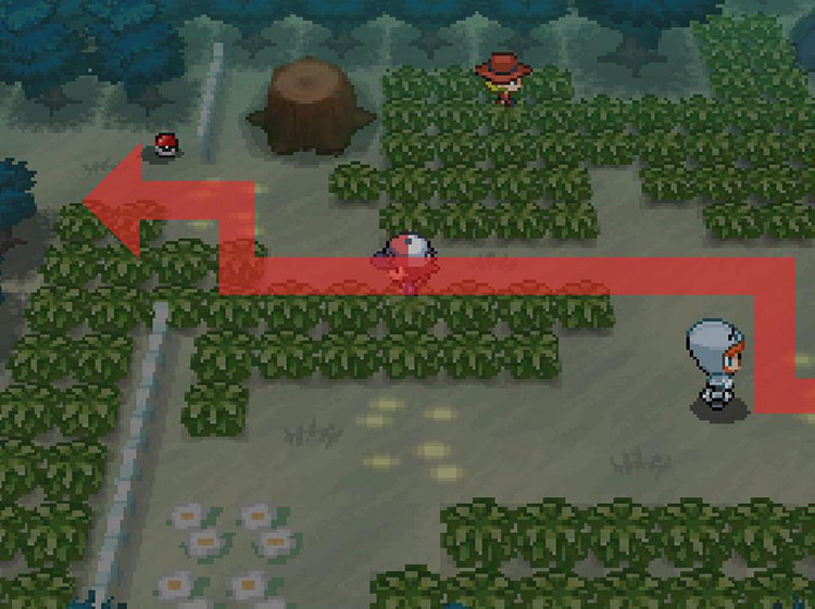 Continue west through the tall grass. / Pokemon BW