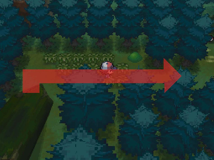 Walk east from the end of the log. / Pokemon BW