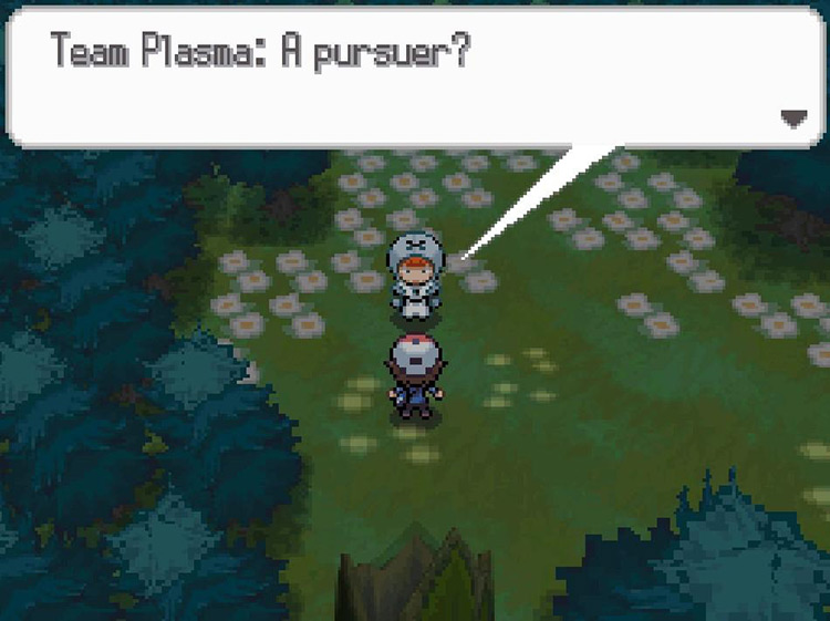 A fourth Team Plasma member will be waiting to battle. / Pokemon BW