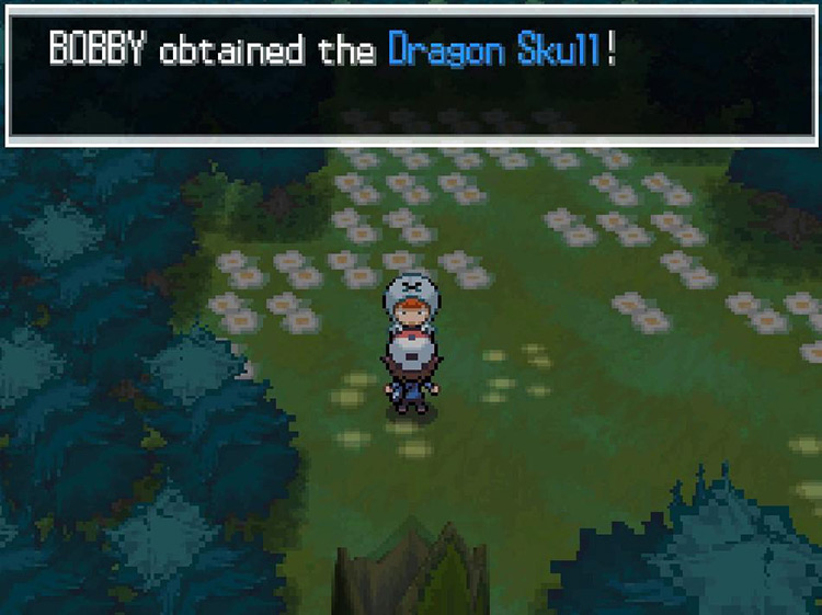Getting the Dragon Skull after defeating the final thief. / Pokemon BW