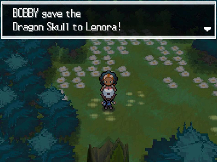 Returning the skull to Lenora. / Pokemon BW