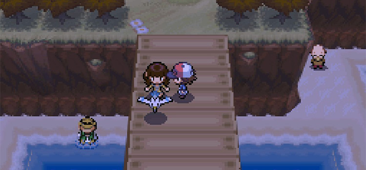 On Route 13 with the NPC and her Wingull (Pokémon Black)