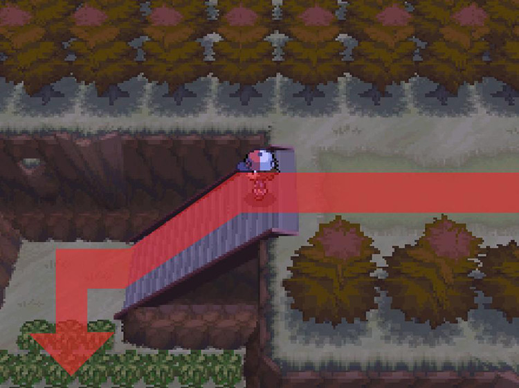 Climb down the stairs and head south. / Pokemon BW
