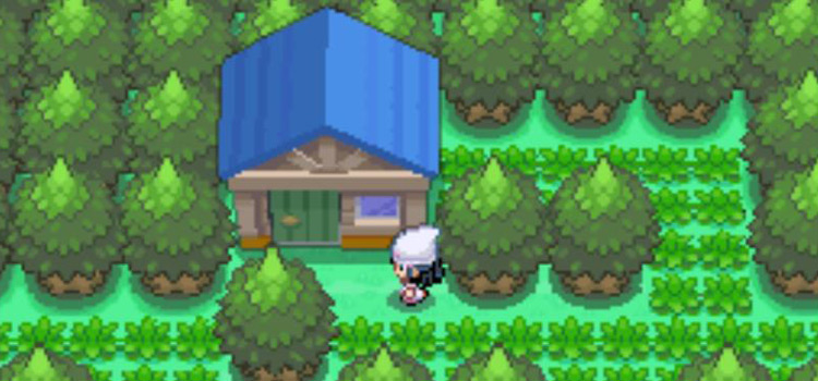 Outside the House on Route 221 in Pokémon Platinum