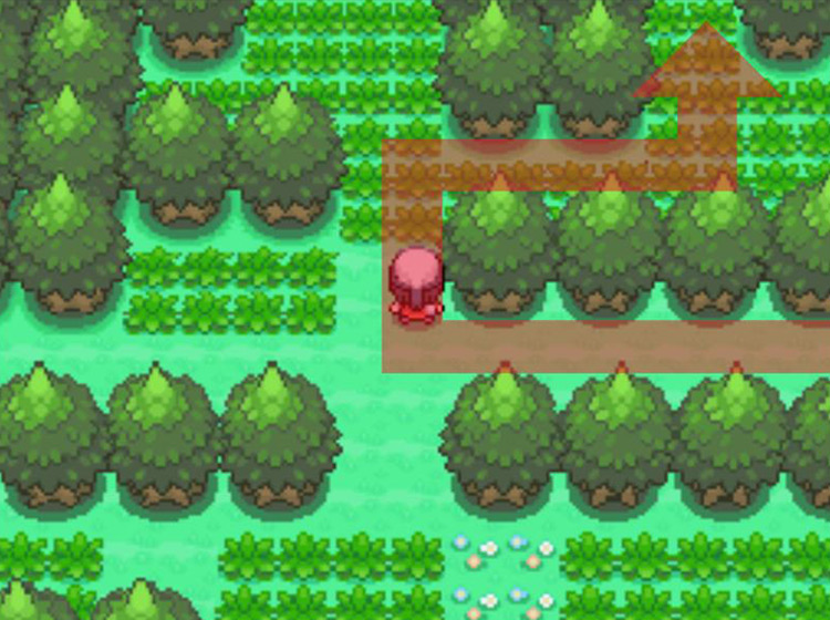 Turning northward and keeping to the right / Pokémon Platinum