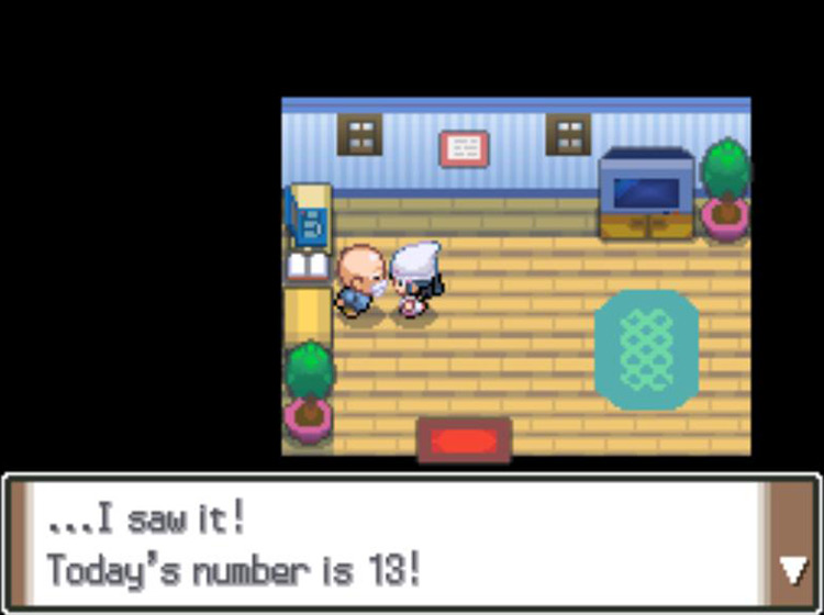 The old man asking to see a Level 13 Pokémon / Pokémon Platinum