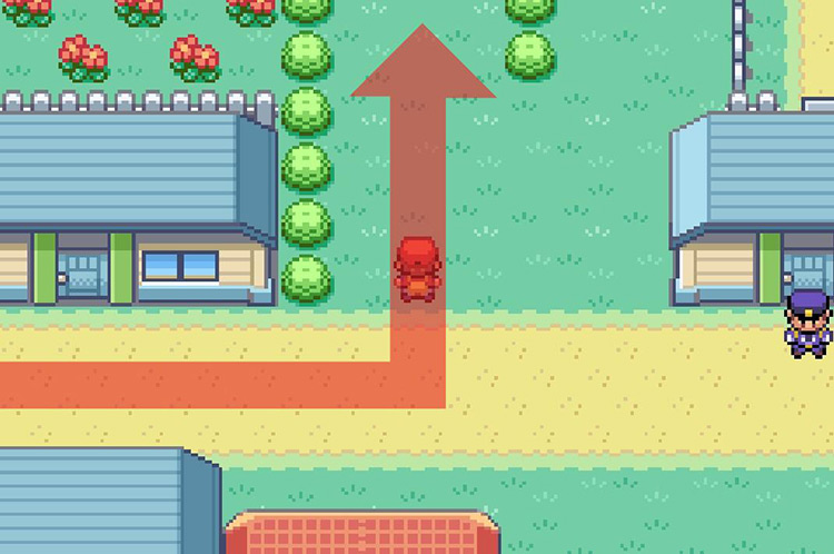 Head north on the path lined with bushes. / Pokemon FRLG