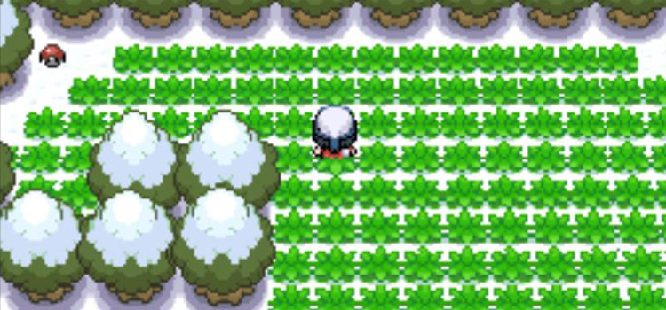 Finding the Blizzard TM at Lake Acuity in Pokémon Platinum