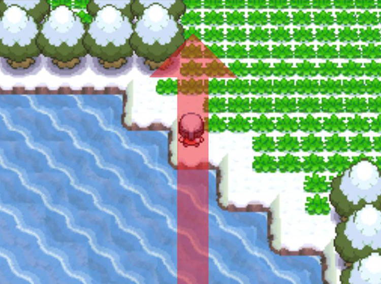 Reaching land in the northeastern corner of the Lake / Pokémon Platinum