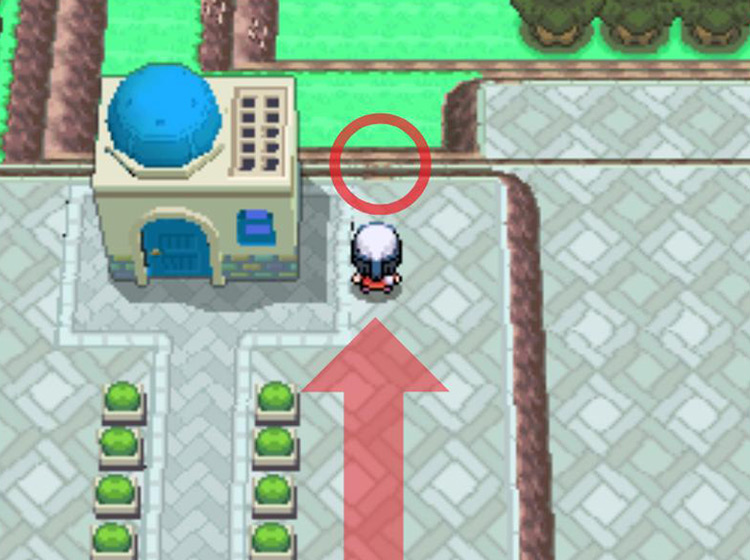 The barely-visible rocky wall to the north / Pokémon Platinum