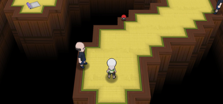 The 5th puzzle in the Trick House (Pokémon Alpha Sapphire)