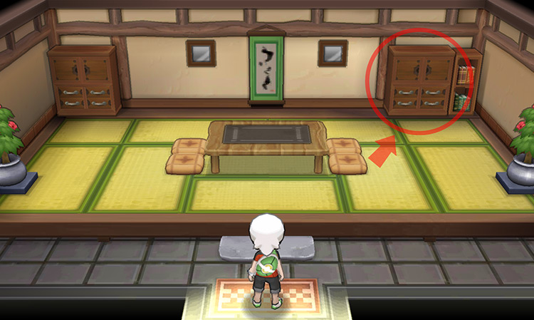 The cupboard where the Trick Master is hiding / Pokémon ORAS
