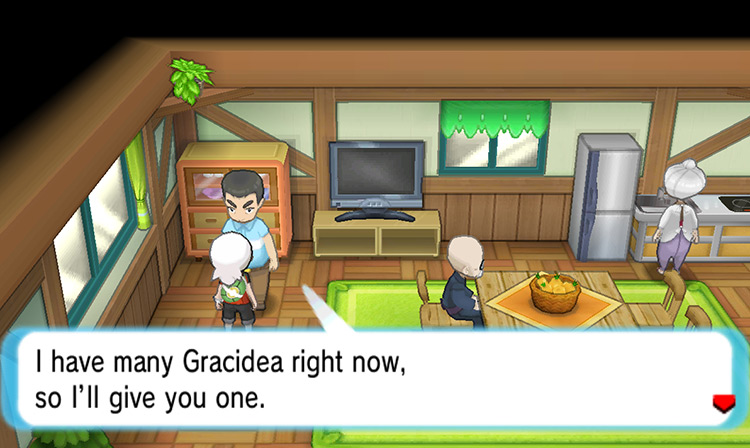 Receiving the Gracidea. / Pokemon ORAS