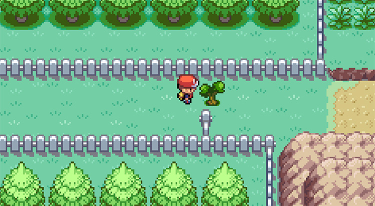 Cutting down the Tree east of Cerulean City / Pokemon FRLG