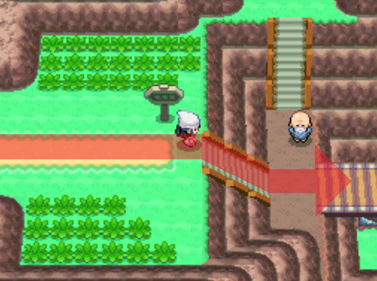 Crossing the bridge at the bottom of the staircase / Pokémon Platinum