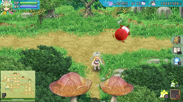 A short path along Selphia Plain where the entrance to Mush Road can be found / Rune Factory 4