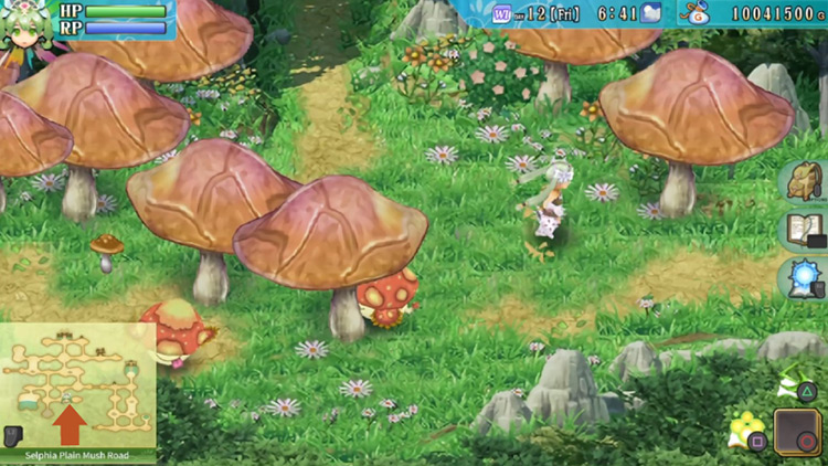 The area to the Death Fungus marked on the map / Rune Factory 4