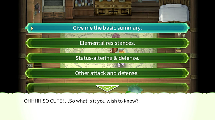The different options given by the monster expert in Rune Factory 4 / Rune Factory 4