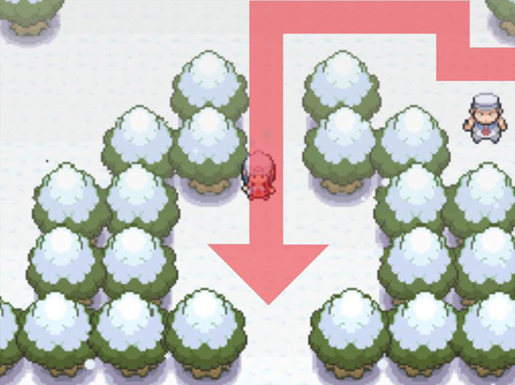 Moving through the southern gaps in the trees. / Pokémon Platinum