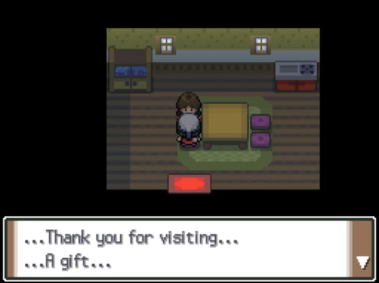 Speaking with the woman in the cottage with the Spell Tag. / Pokémon Platinum