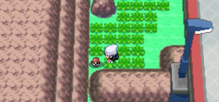 Finding a Poison Barb near Cycling Road in Pokémon Platinum