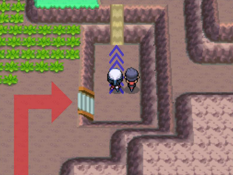 Riding the Bicycle in fourth gear to climb the muddy slope. / Pokémon Platinum
