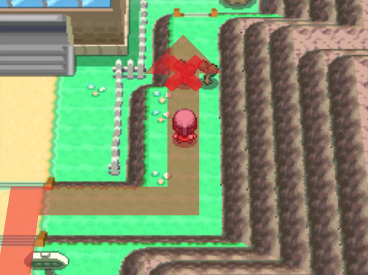 Using Cut on the tree to the east to pass through. / Pokémon Platinum