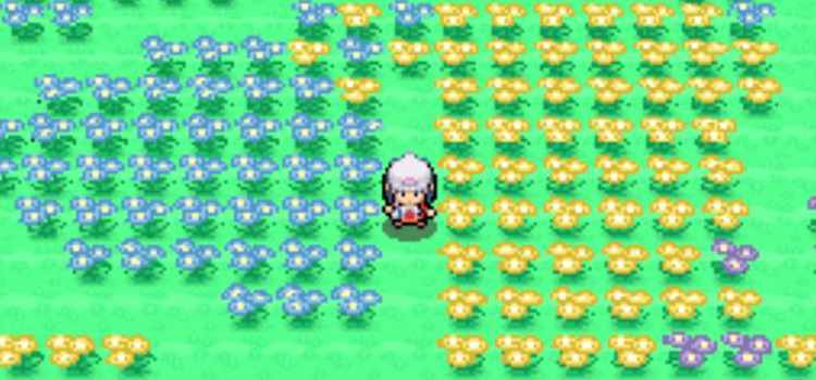 Searching for the Miracle Seed in Floaroma Meadow in Pokémon Platinum