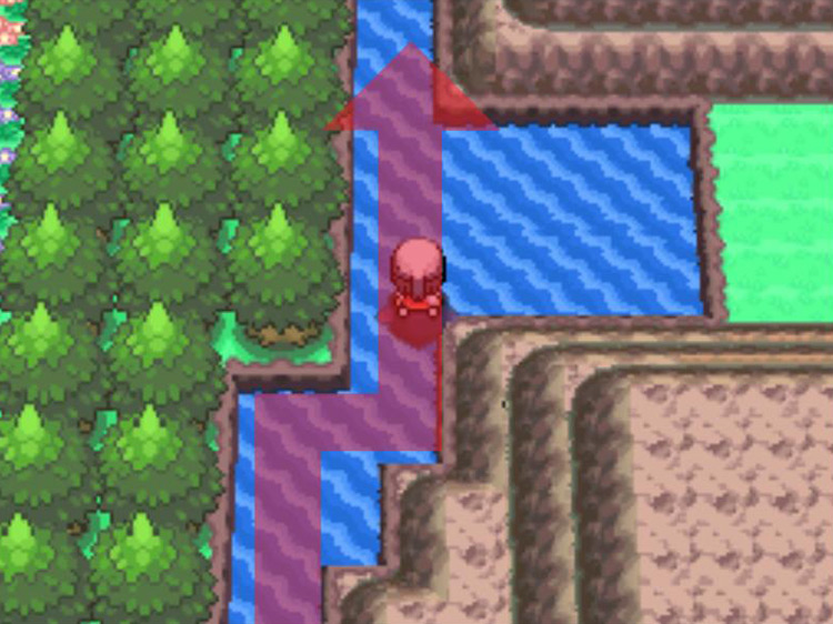 Passing the clearing to the east. / Pokémon Platinum