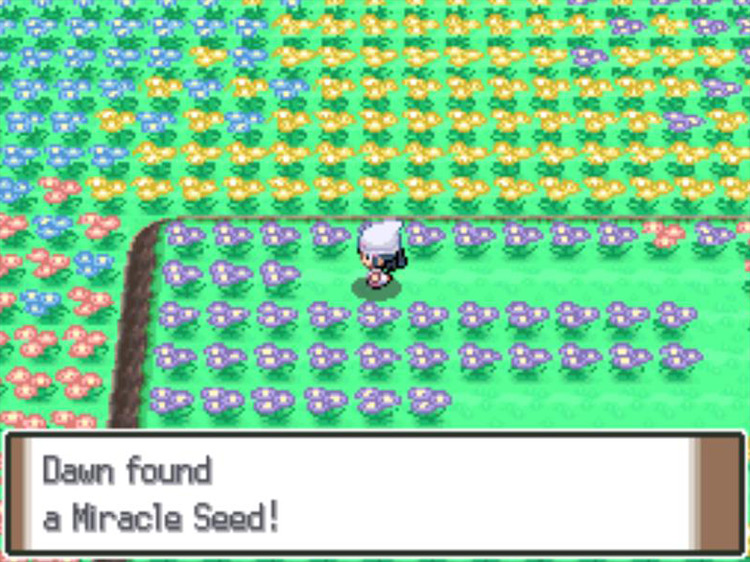 Obtaining a Miracle Seed. / Pokémon Platinum