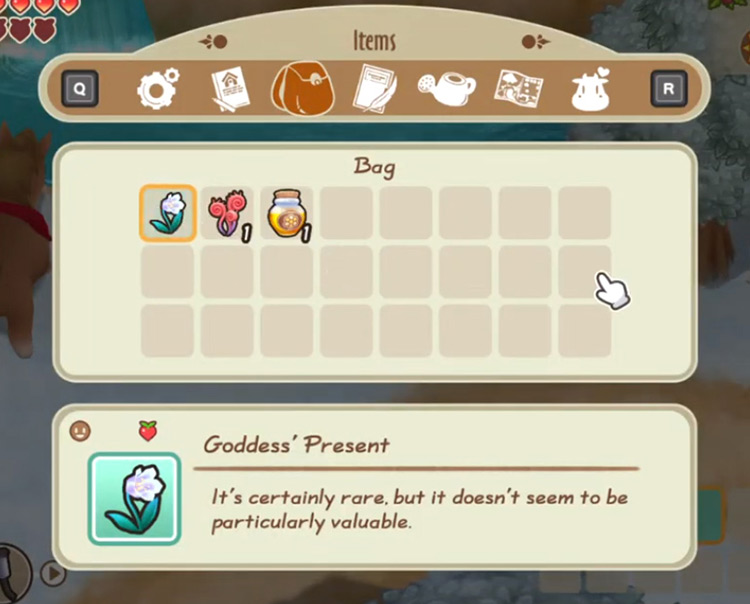 The Goddess’ Present in your inventory. / Story of Seasons: Friends of Mineral Town