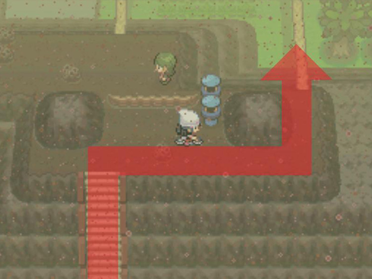 Climbing the stairs and riding the Bicycle over the fallen log. / Pokémon Platinum