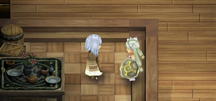 Inside the Ability Shop in Rune Factory 4 Special