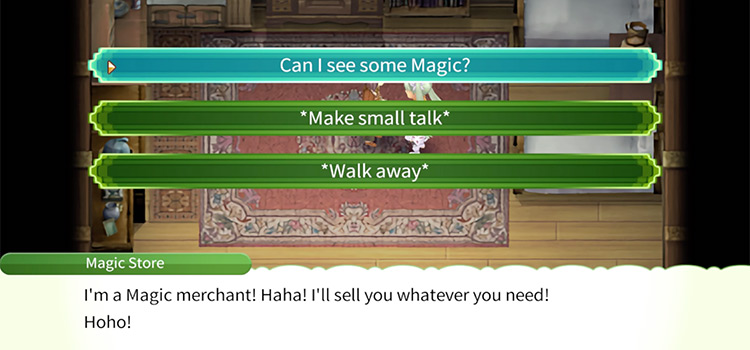 Speaking with the Magic Shop Merchant in Rune Factory 4 Special