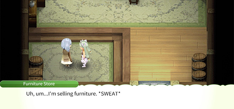 Speaking to the Furniture Store Merchant in Rune Factory 4 Special