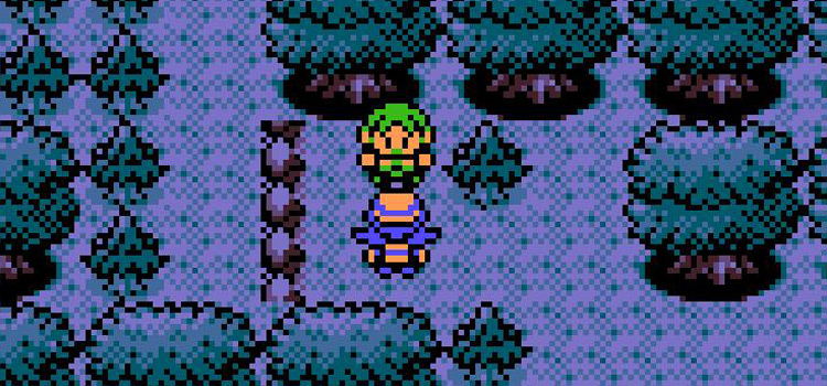 Green-haired NPC that gives you Headbutt in Pokémon Crystal