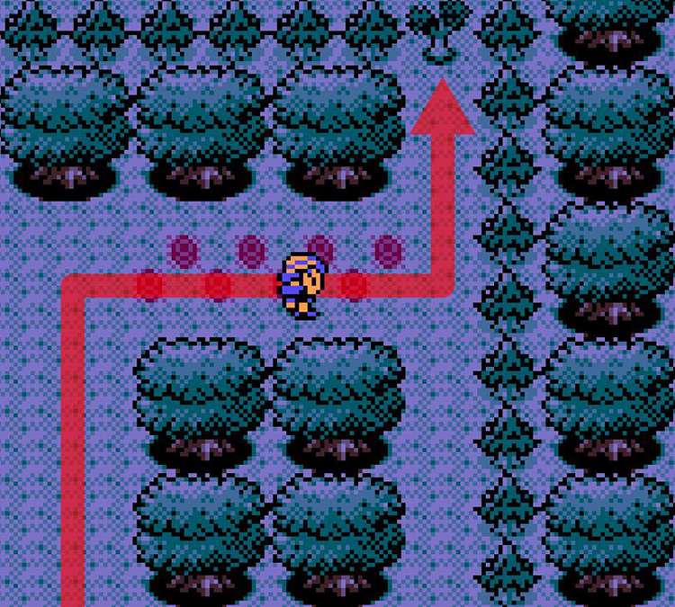 Approaching the small tree dividing southern and northern Ilex Forest / Pokémon Crystal