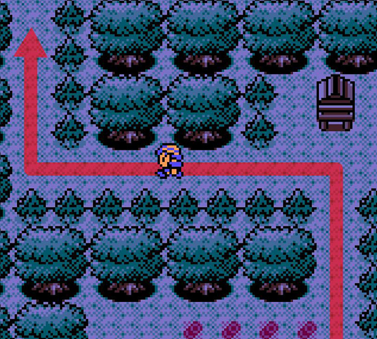 Passing by the Ilex Forest shrine / Pokémon Crystal