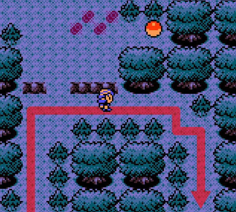 Last fork in the road before reaching our goal / Pokémon Crystal