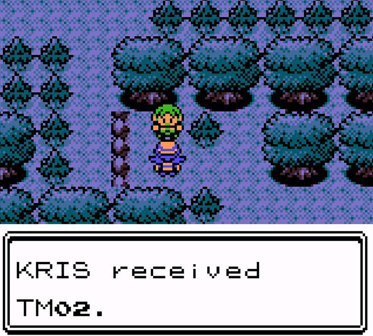 Receiving TM02 from green-haired NPC deep in Ilex Forest / Pokémon Crystal