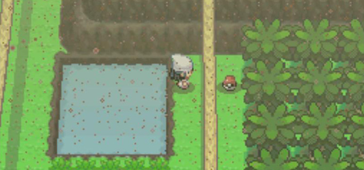 The Charcoal on the ground on Route 227 (Pokémon Platinum)