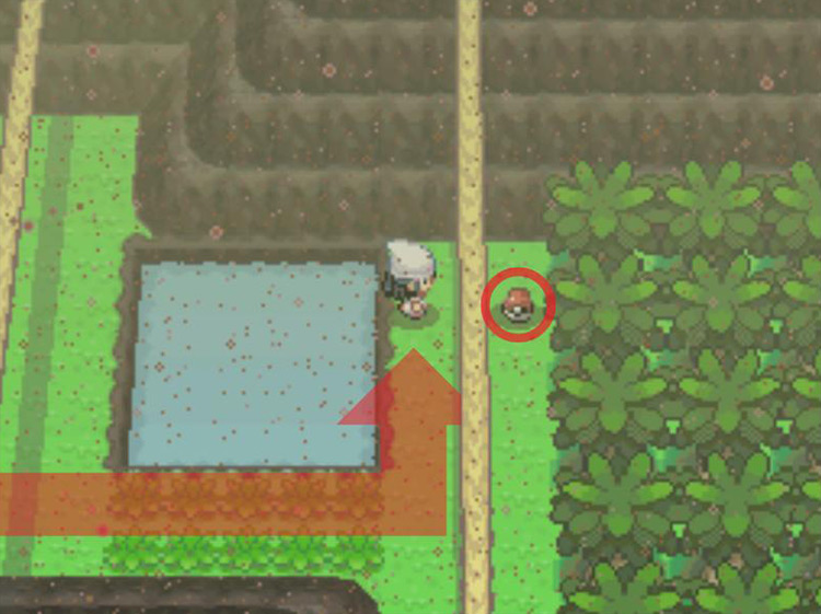 Finding the Charcoal behind the fallen log. / Pokémon Platinum