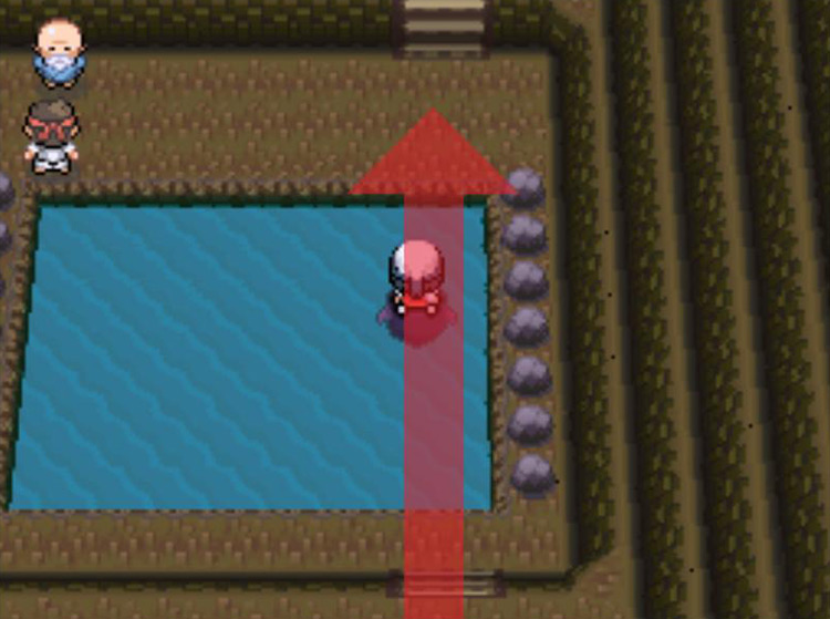 Cutting across another lake to the north. / Pokémon Platinum