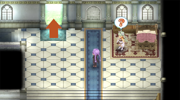 A doorway leading to the field / Rune Factory 4
