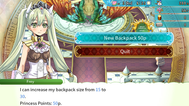 An order for a new backpack worth fifty princess points / Rune Factory 4