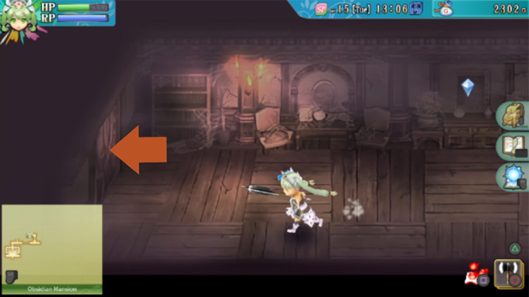 The Obsidian Mansion going west towards a treasure room / Rune Factory 4