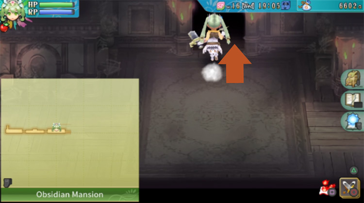 A darkened path in the north in the Obsidian Mansion / Rune Factory 4