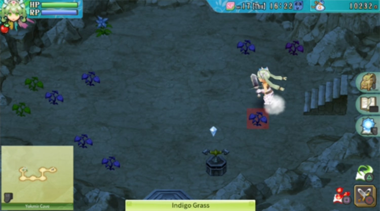 An area with a yellow switch in Yokmir Cave / Rune Factory 4