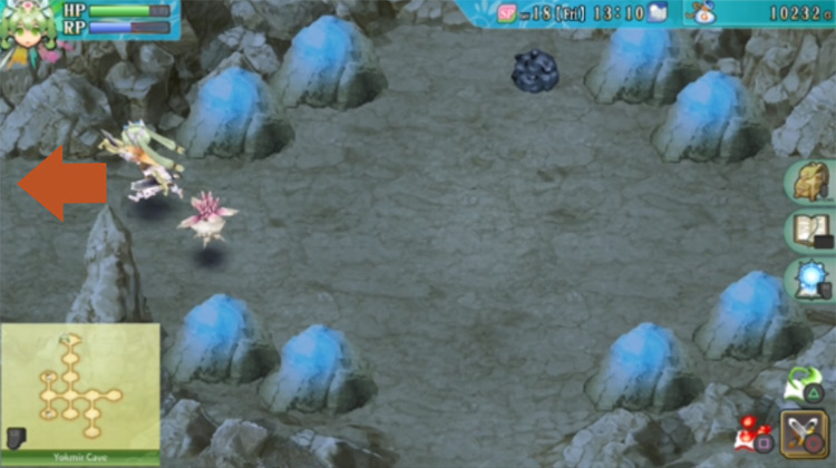 A path going west in Yokmir Cave / Rune Factory 4