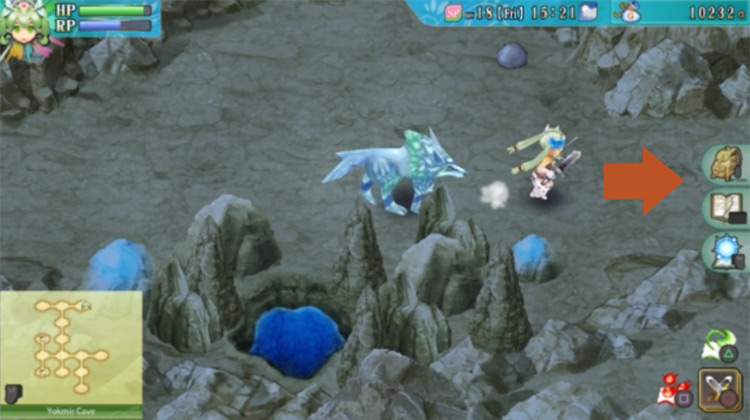 An area with a pit with water in Yokmir Cave / Rune Factory 4